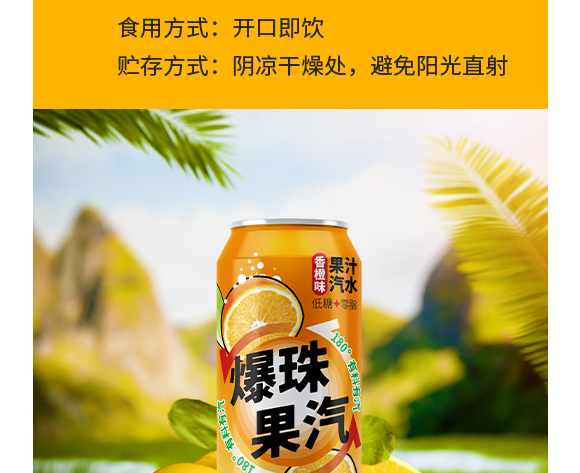廣東大啟食品有限公司--產品畫冊香橙_04