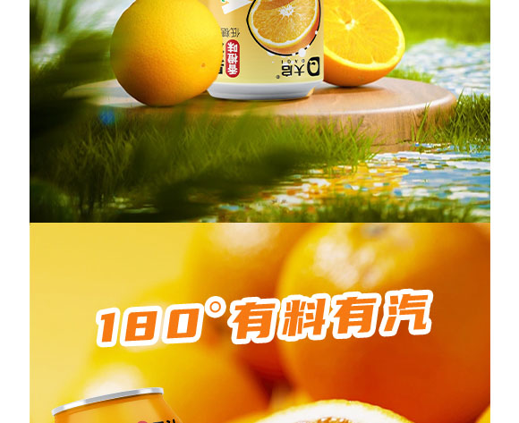 廣東大啟食品有限公司--產品畫冊香橙_05