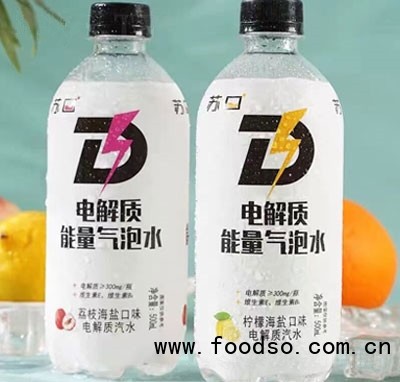 蘇口電解質