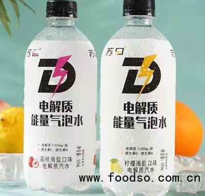 蘇口電解質