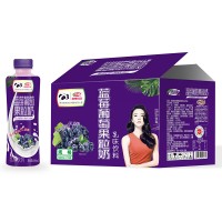 浩明藍莓葡萄果粒奶乳味飲料箱裝招商500ml×15瓶